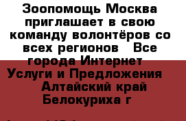 Зоопомощь.Москва приглашает в свою команду волонтёров со всех регионов - Все города Интернет » Услуги и Предложения   . Алтайский край,Белокуриха г.